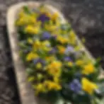 Casket Blanket with Posies