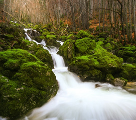 Ostéopathe Saint Jean d'Arvey
