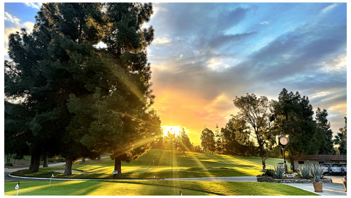 Sunlight streaming through tall trees onto a golf course at dawn, evoking a sense of creation and peace.