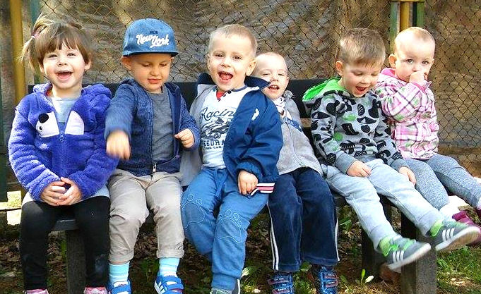 żłobek dolnośląskie wojcieszów
