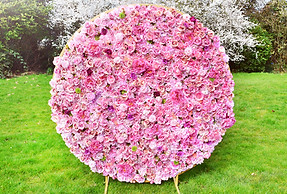 Bloomy.jpg