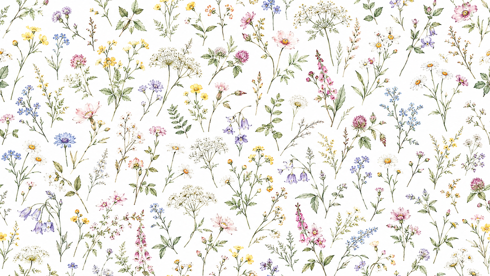 wildflowers .png