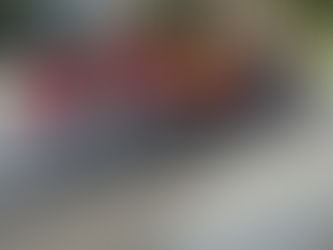 BEKIJK HIER DE FOTO'S VAN HET LAATSTE OPTREDEN VAN ONZE DRUMMERS