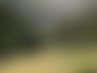 SUMMER BOOTCAMP 2022