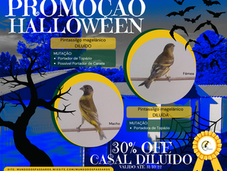 PROMOÇÃO HALLOWEEN