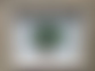 "Le printemps reviendra.."