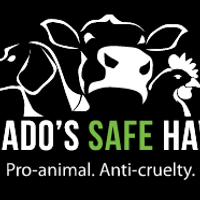 Pasado's Safe Haven