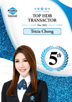 TOP HDB TRANSACTOR.jpeg
