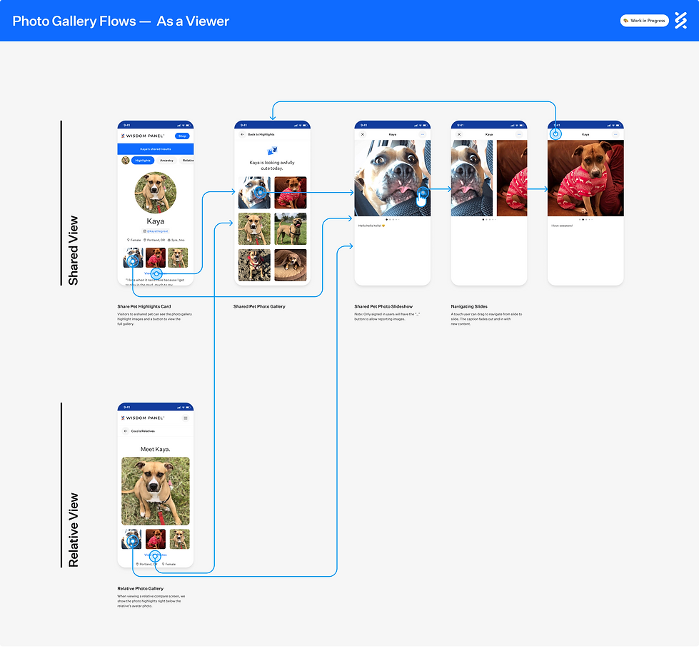 Photo Gallery Flows — As a Viewer.png