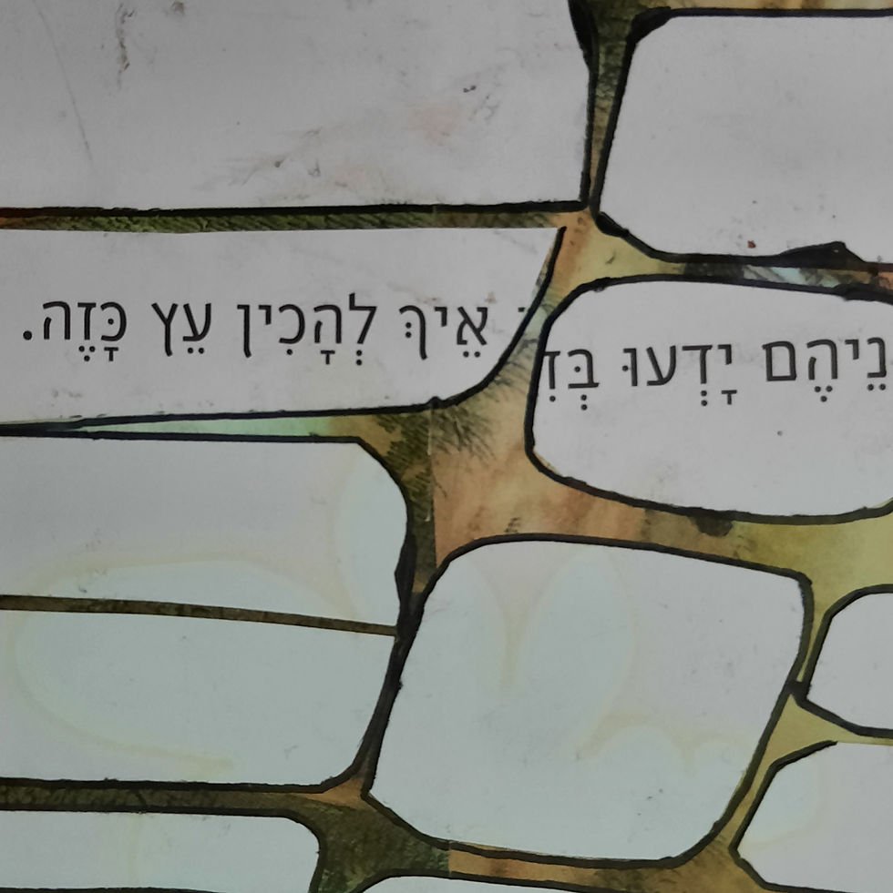 תמונה ממוזערת: יפה בהודו