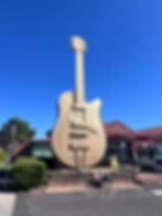 Tamworth Vibe Festival