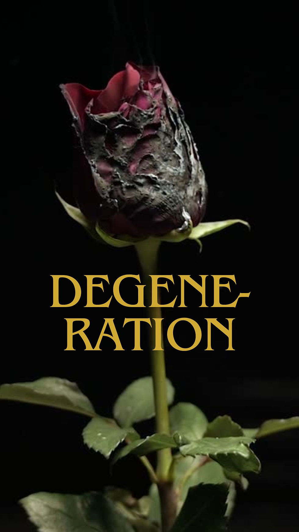 Degeneration - Random Deeptalk Storytelling.jpg