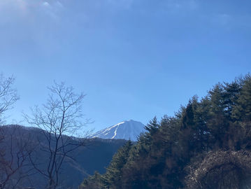 一月も最終日