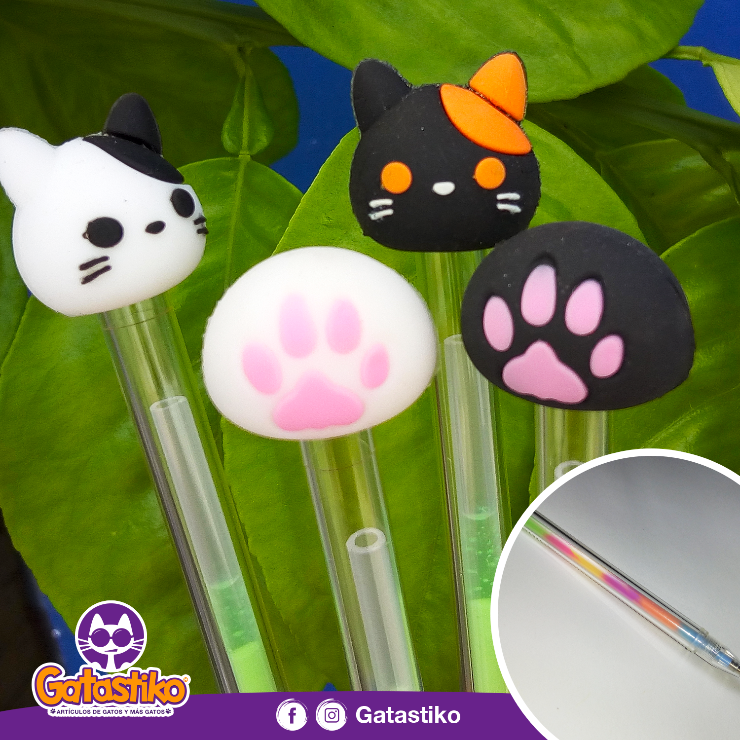 Plumas arcoíris!!! 😺🌈