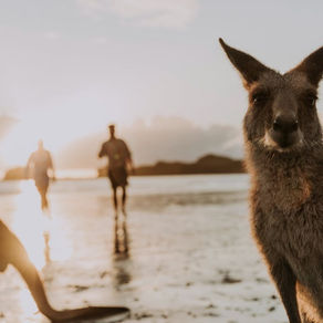 20 Epic 4WD only camps between Cairns and Brisbane