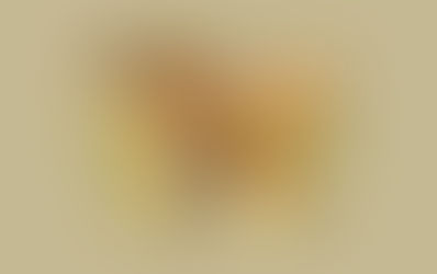The first animal you see in this picture will determine your personality