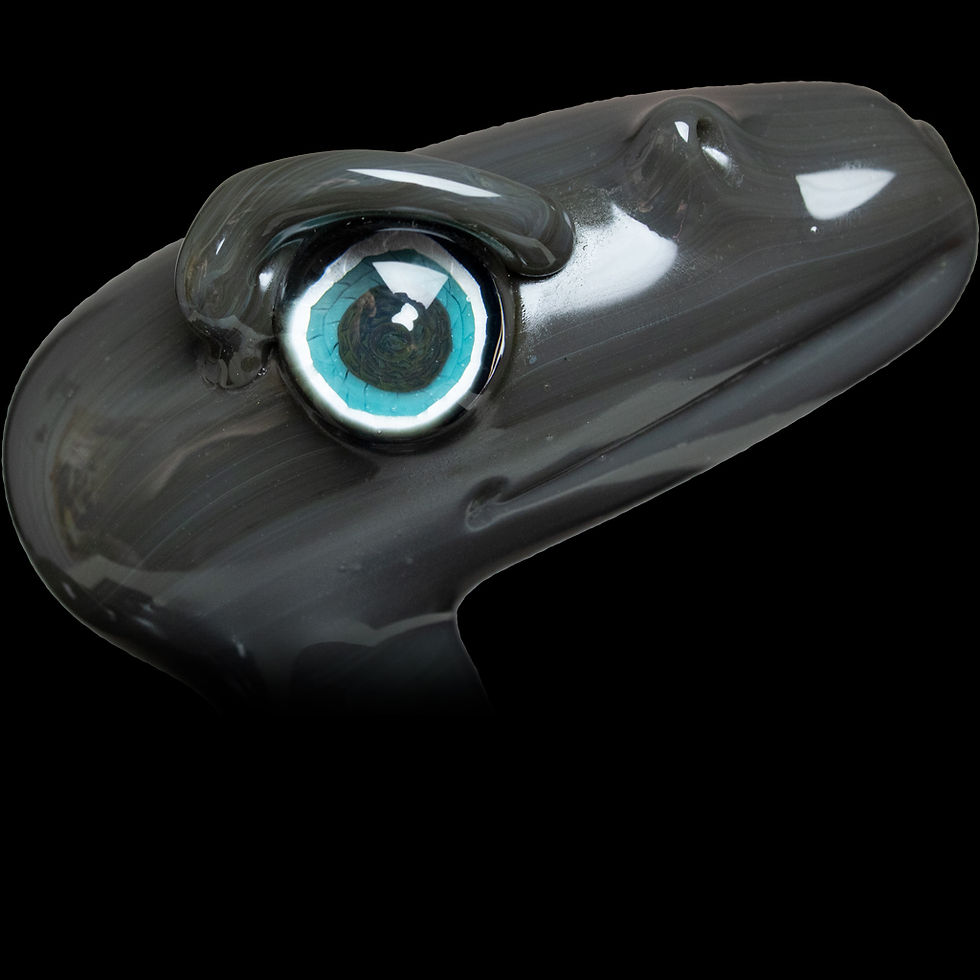 Thumbnail: Dan Evans 2018 Oregon Grey Dino Rig