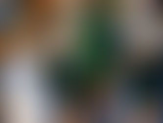 TSI Player Spotlight: Eli Gilpin – South Ripley’s “Hard to Guard” Sophomore Star