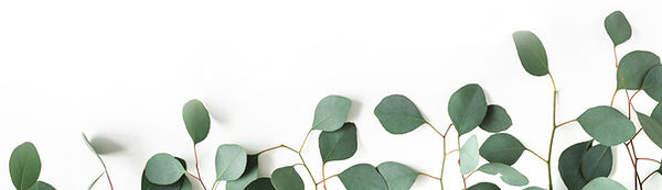 Partnerschap-Bottom-Leaves.jpg
