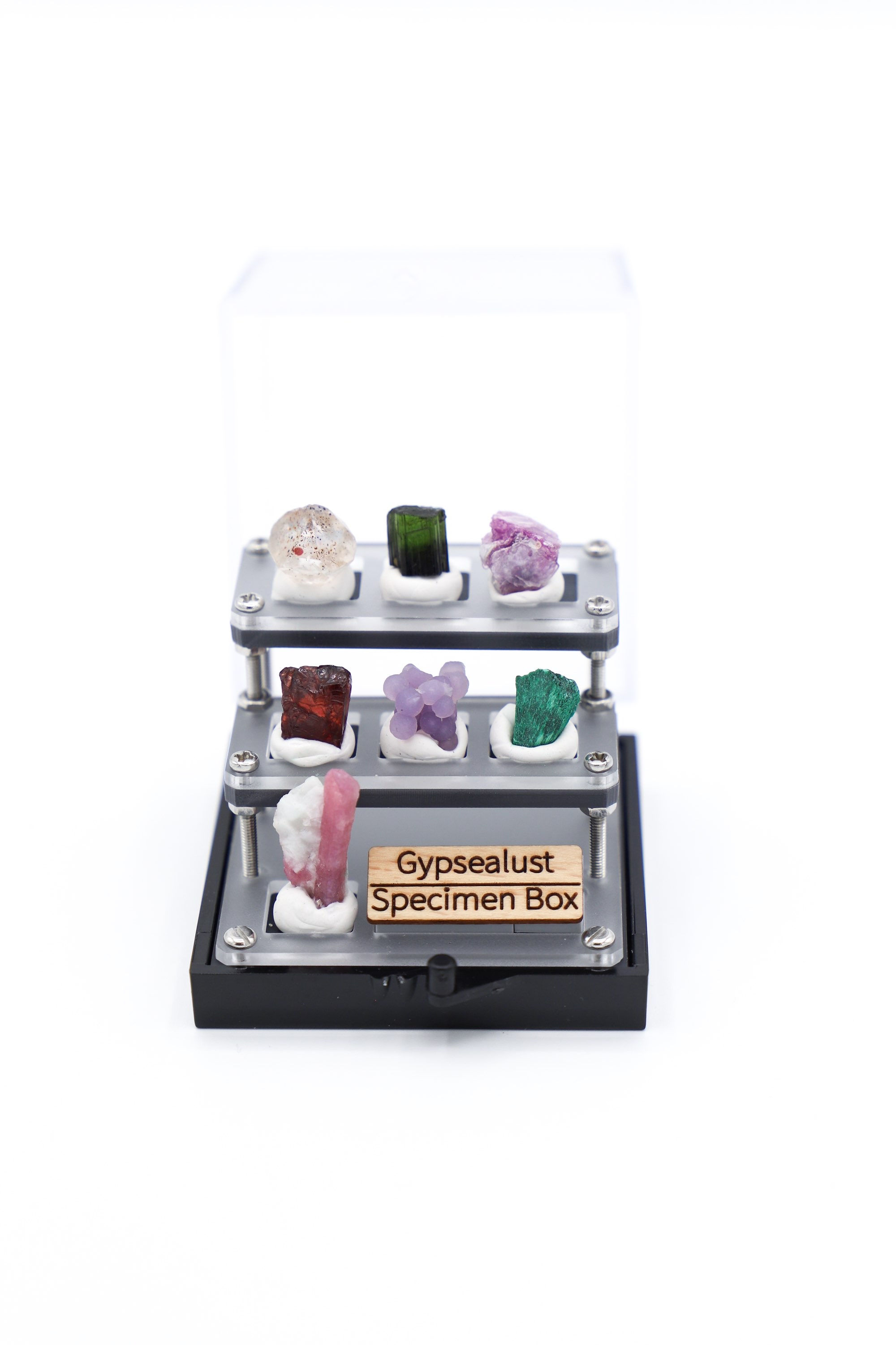 Gypsealust Specimen Box