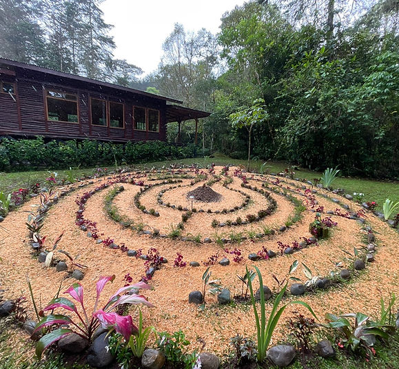 WhatsApp Image 2024-11-16 at 09.49.14 (1).jpeg