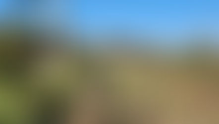 First day of harvest for 2023