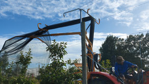 Why we use black netting?