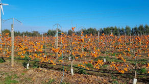 Starting the last block of the season!