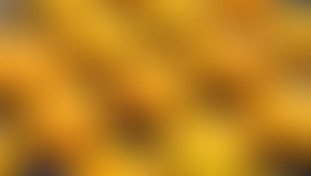 An important harvest update!