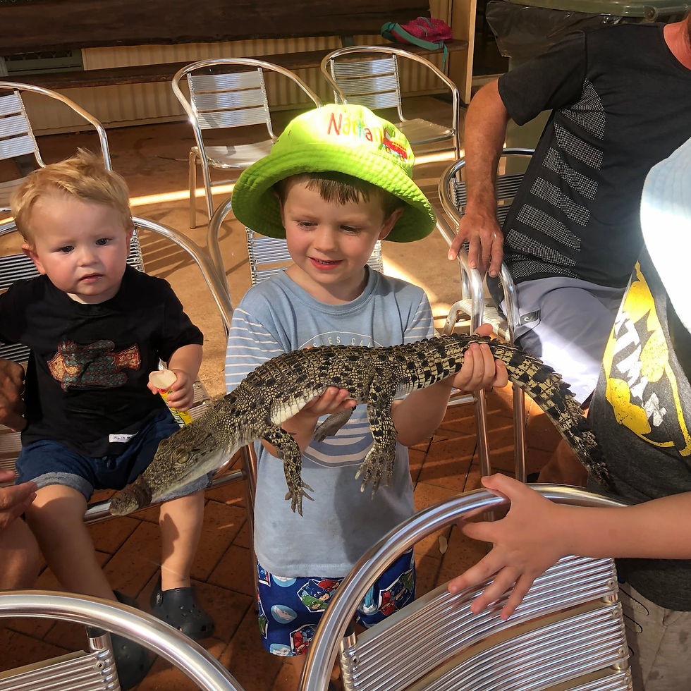 Malcolm Douglas Crocodile Park