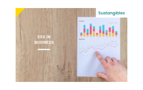 ESG in Business