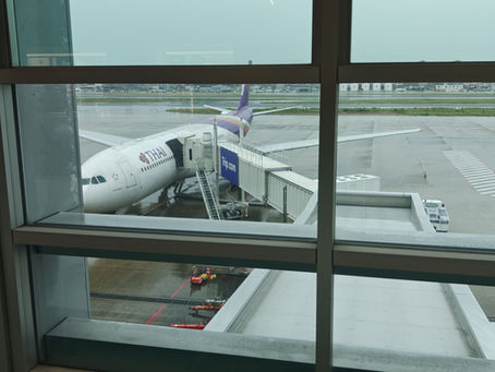 今年は、南インド🇮🇳Onlyの旅