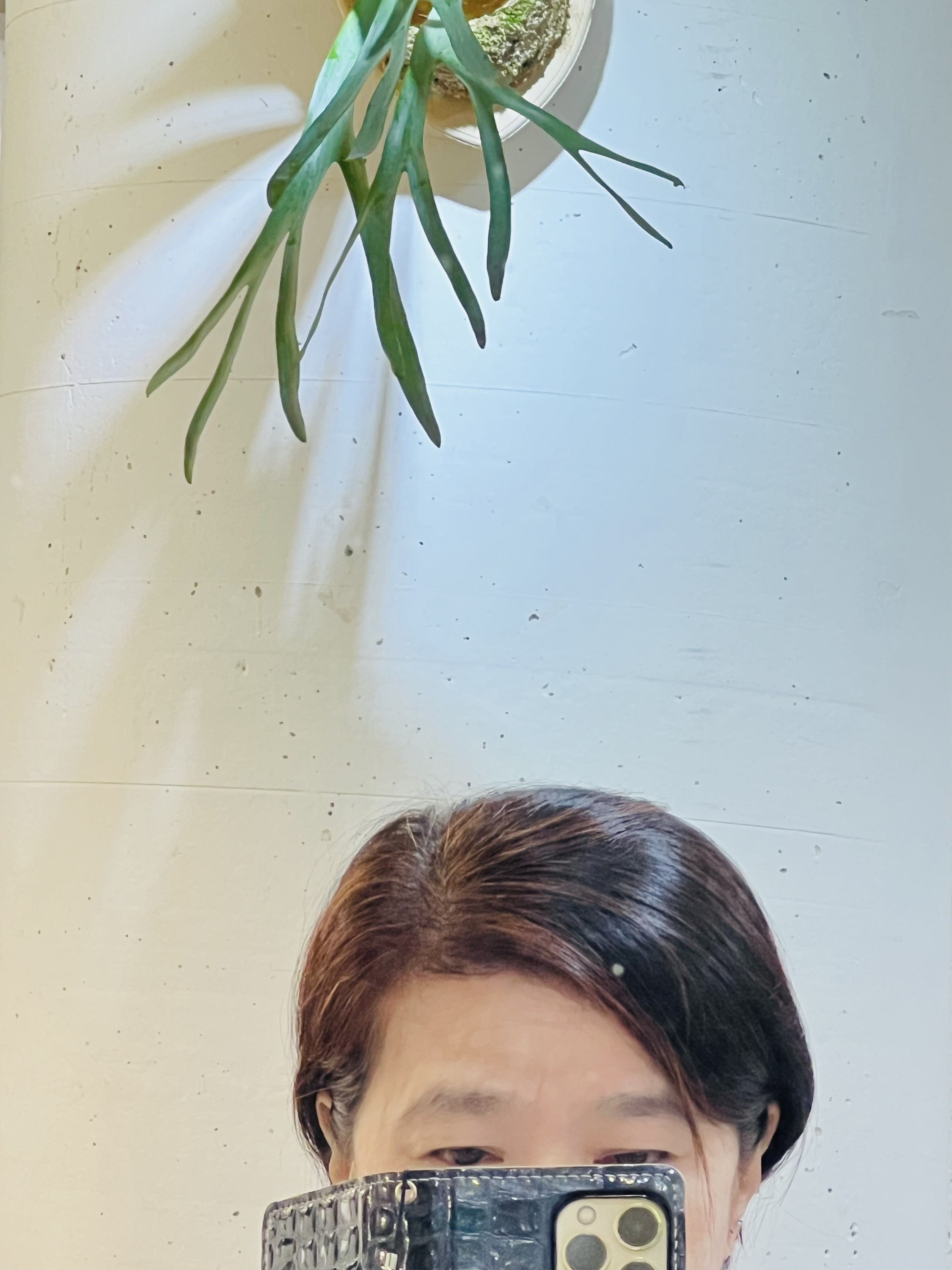 執筆者の写真: ベルマル 康