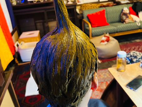 発酵ヘナのご予約