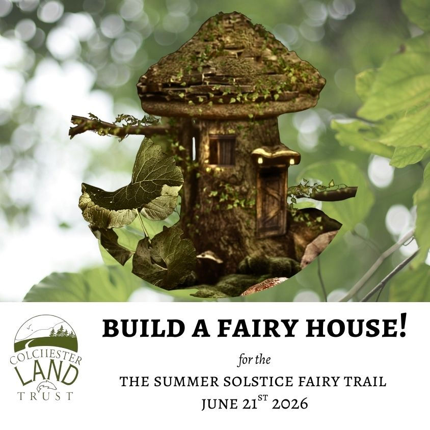 Fairy house event image