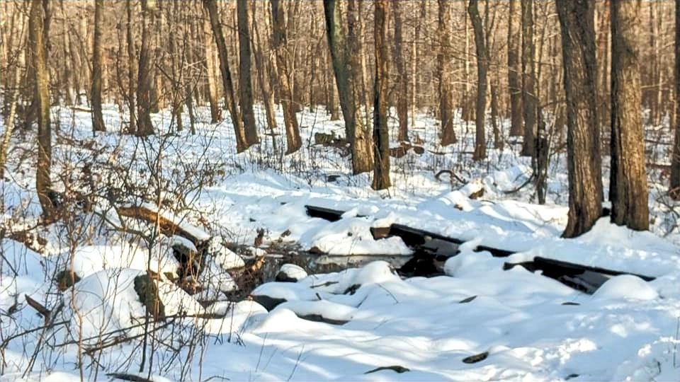 Hikes and Events ColchesterLandTrust