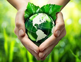 mon_laudato si_1.jpeg