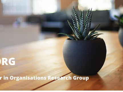 Judith member of Behaviour in Organisations Research Group - University of Limerick