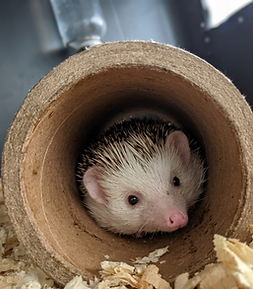 Chimney in tunnel