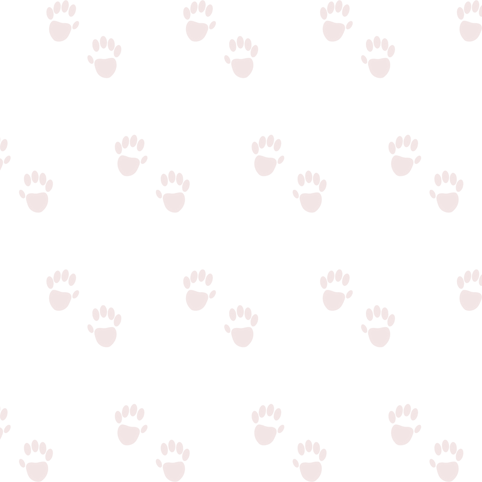 Untitled-1_edited.png