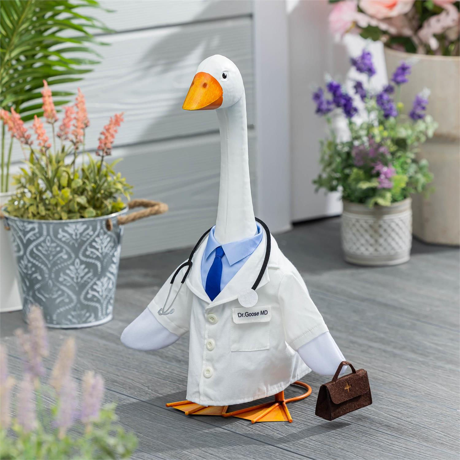 Doctor Porch Goose Outfit