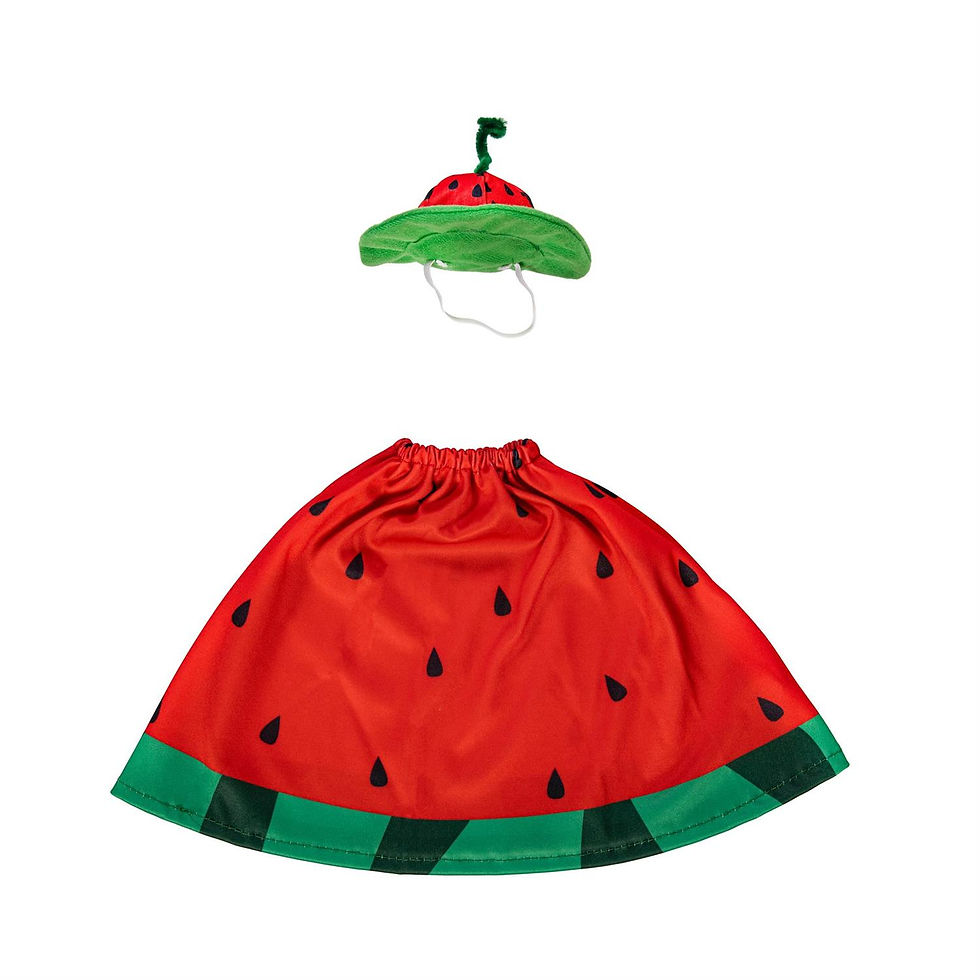 Thumbnail: Watermelon Season Porch Goose Outfit