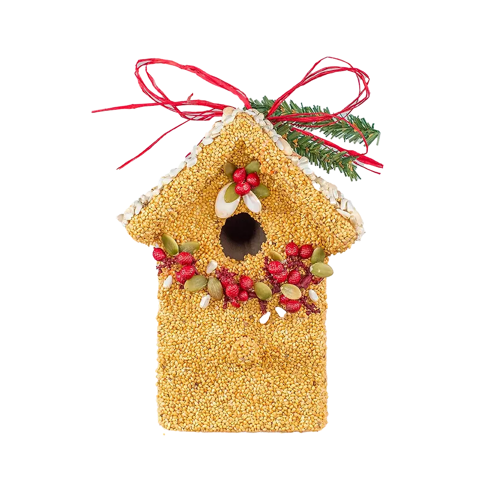 Thumbnail: Poinsettia Birdie Cottage - 3 Assorted Styles