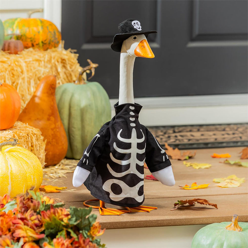 Thumbnail: Skeleton Glow in Dark Porch Goose Outfit