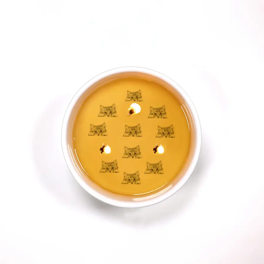 Thumbnail: Cat 10oz Soy Wax Reveal Candle