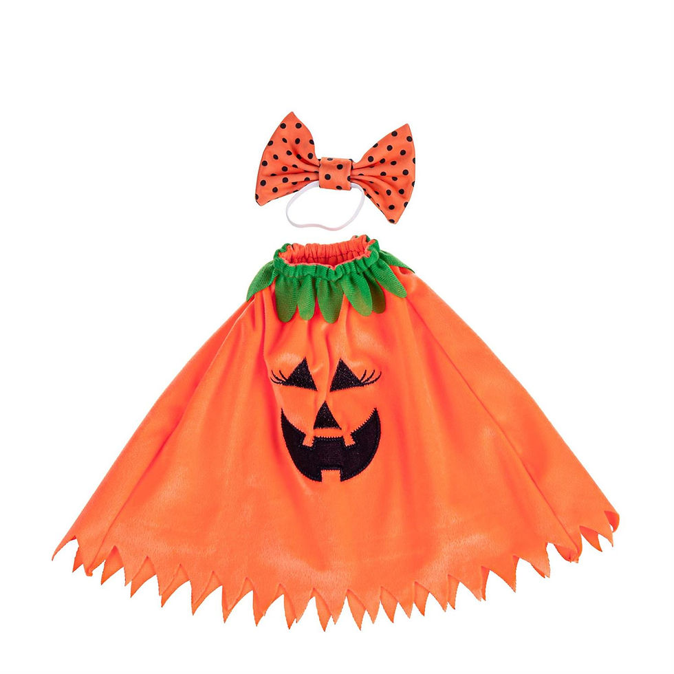 Thumbnail: Pumpkin Poncho Porch Goose Outfit