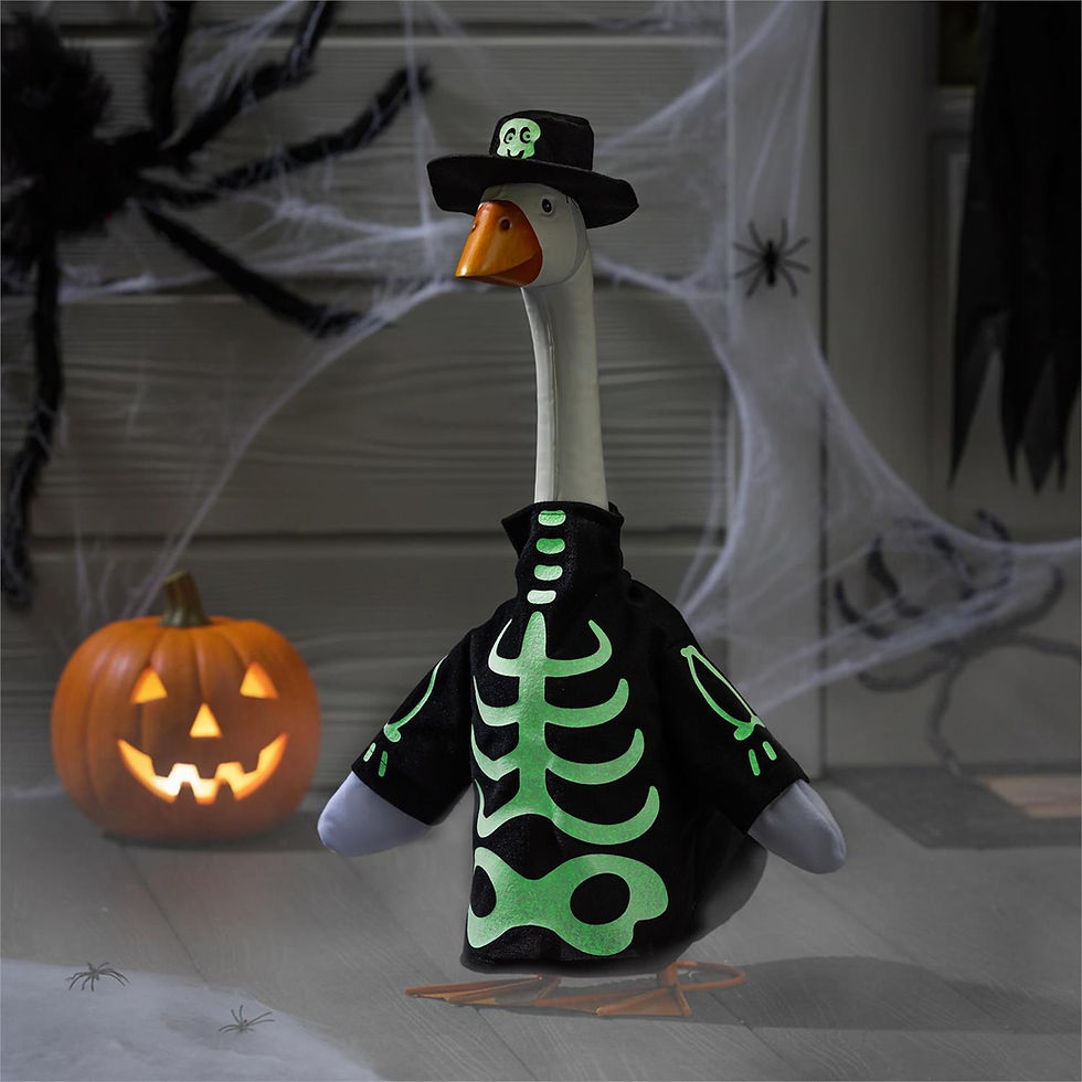 Thumbnail: Skeleton Glow in Dark Porch Goose Outfit