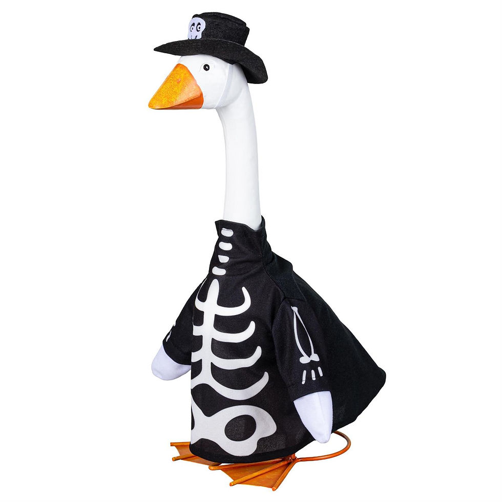 Thumbnail: Skeleton Glow in Dark Porch Goose Outfit