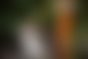 Rose-Ann and Bradley | Freedom Shores