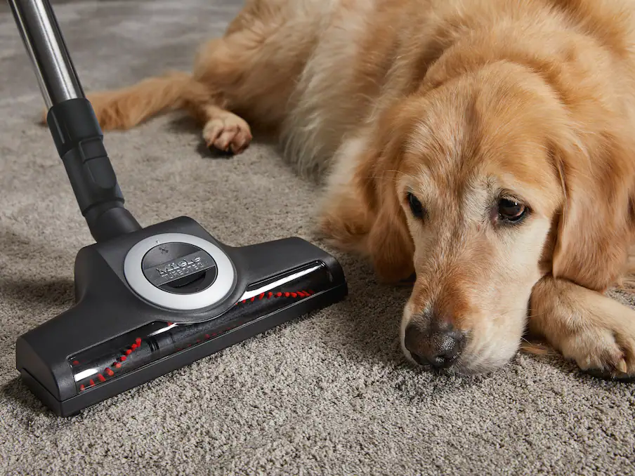 Miele Complete C3 Cat & Dog Vacuum Cleaner Davies Appliances